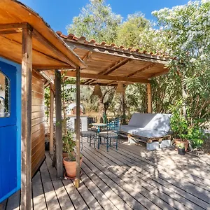 Eco Yurta Сasa de vacaciones